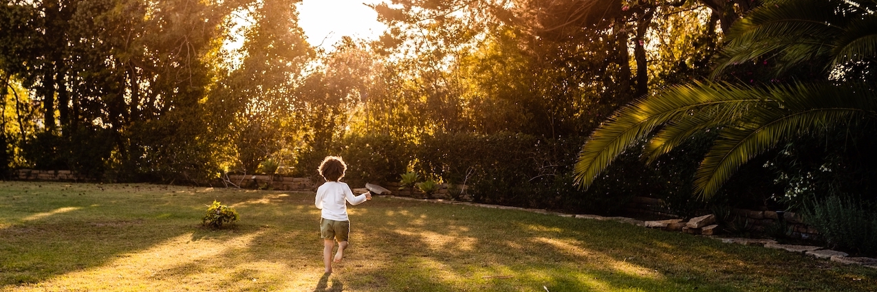 child backyard mosquito reduction