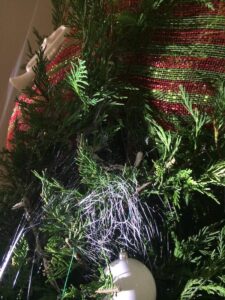 christmas tree photo closeup