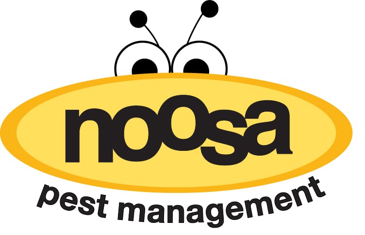 Pest control & exterminator services | Noosa Pest