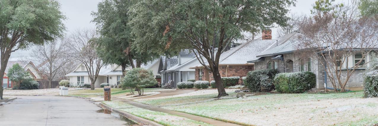 pests in the winter