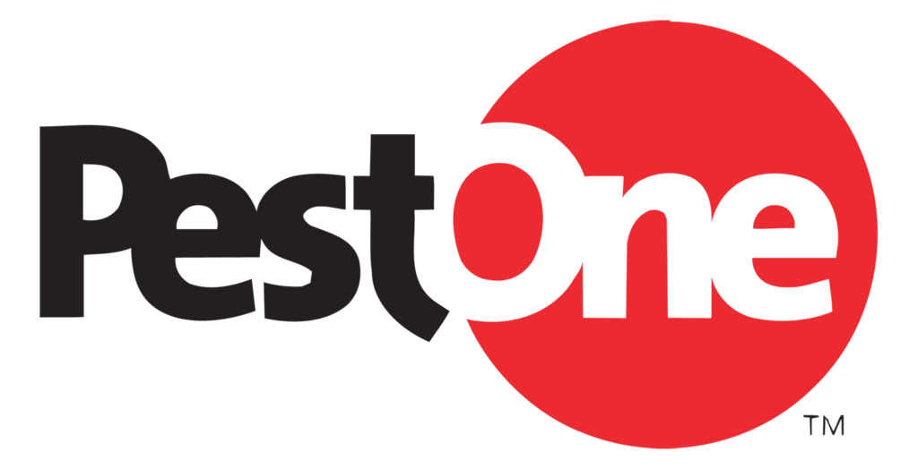 About Charlotte NC Pest Control Company Noosa Pest Management