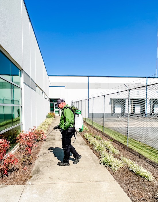 commercial pest extermination outdoor services