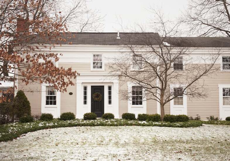 Trees Outside House During Winter