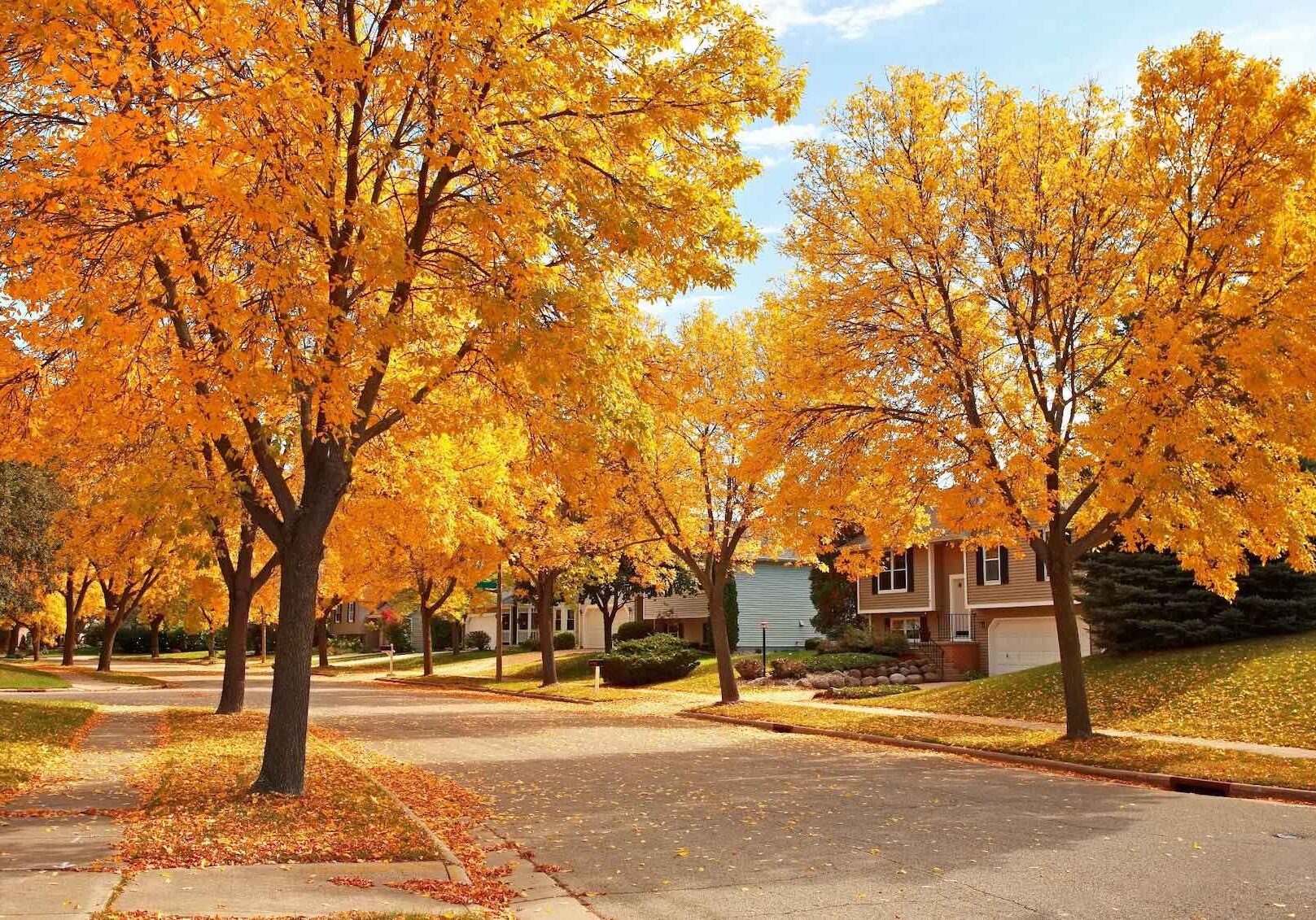 fall pest control tips